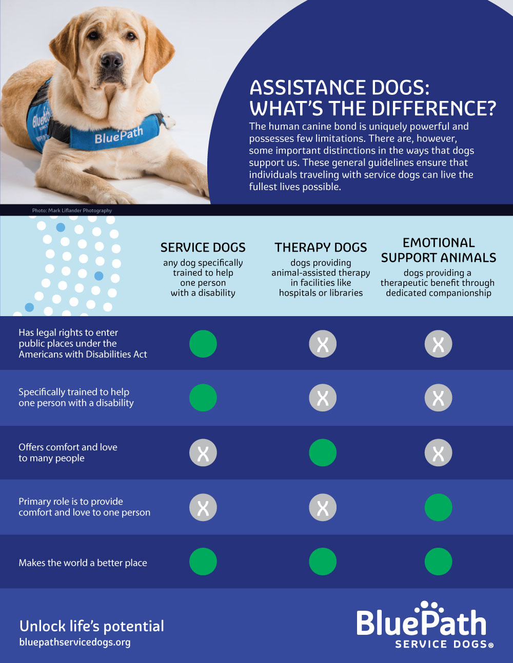 BluePath Service Dogs - Assistance Dogs: What's the Difference? BluePath Service Dogs - Assistance Dogs: What's the Difference?