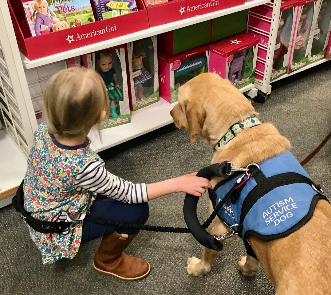 How Much Does A Service Dog Vest Cost