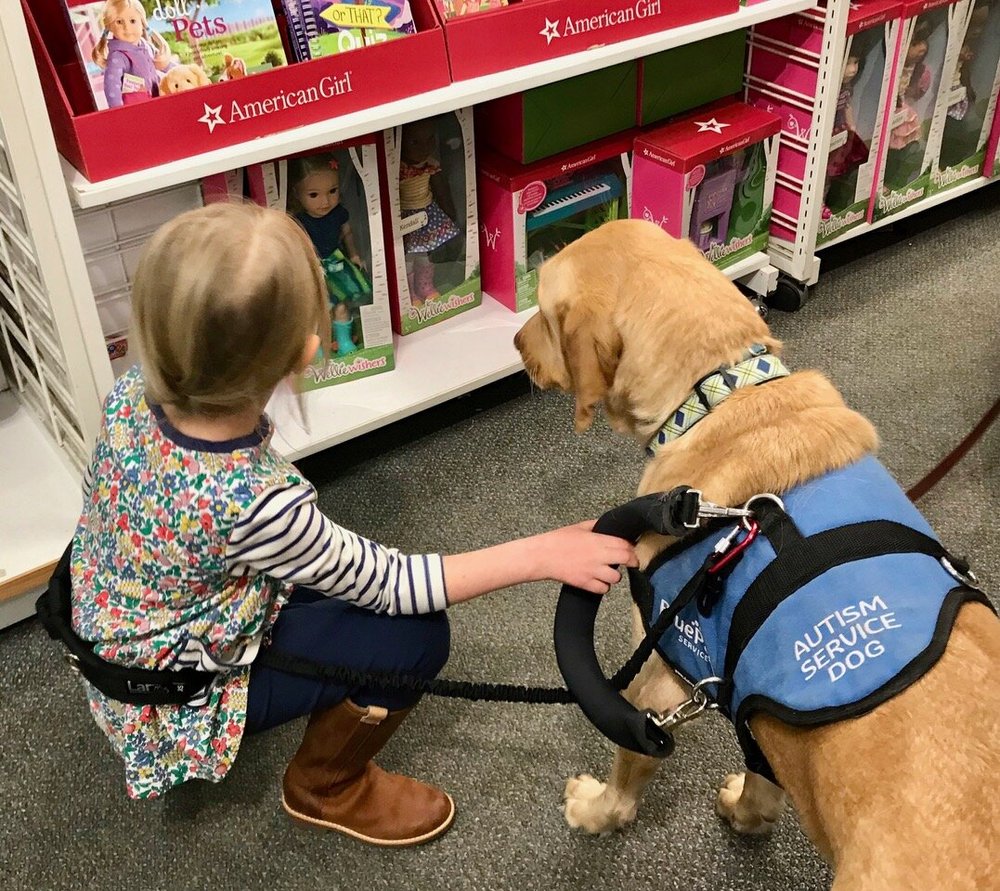 How Service Dogs Help Autism