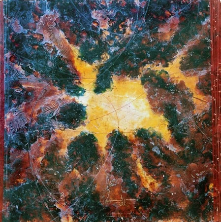 Star Cluster