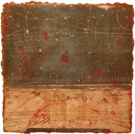Particle Riddle I, 2009 monoprint, encaustic and oil on panel 16 x 16 inches Private Collection, Boston