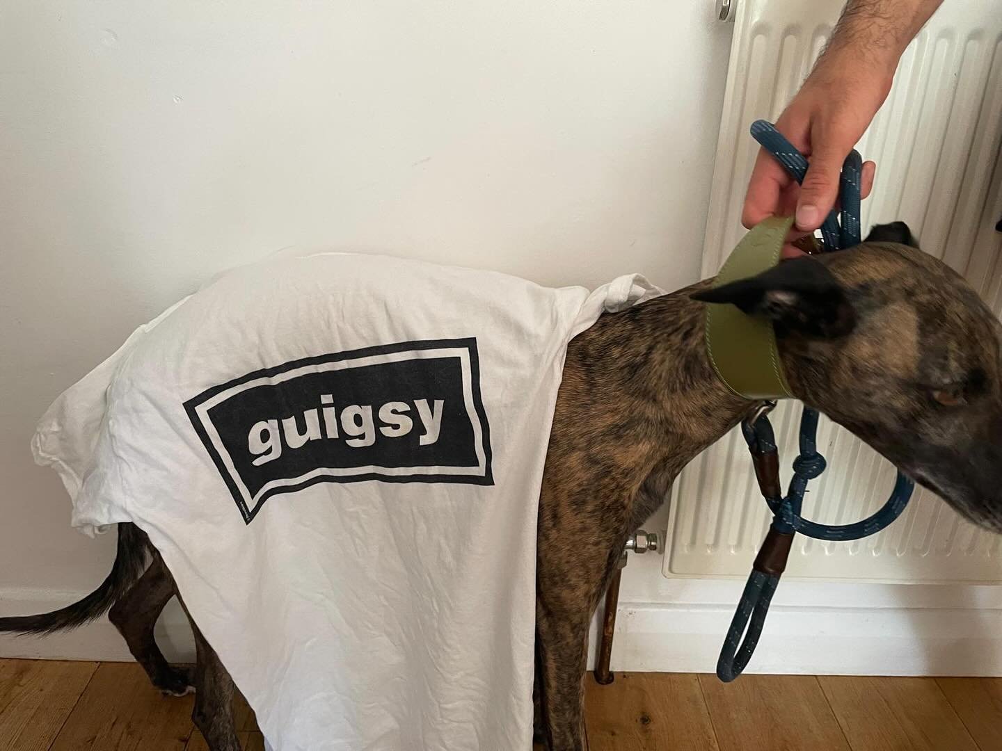 NO GUIGSY, NO GIG #justice4paul #4stringsolidarity #fairpayforafairdayswork #stonedbutstillsolid @oasis