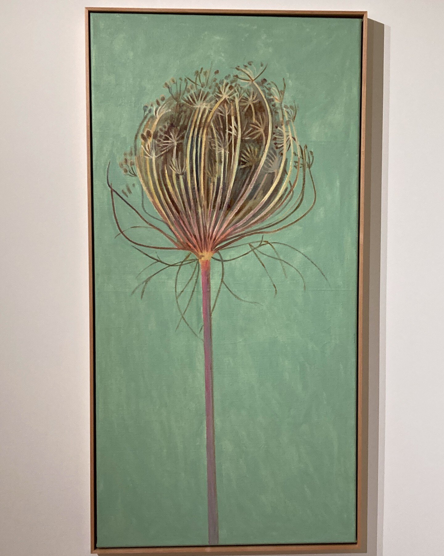 We were thrilled to see the beautiful paintings of Lois Dodd at the Hall Art Foundation in Vermont. 

Queen Anne's Lace, 2017
#loisdodd 

For more information on the exhibit, visit @hall_art_foundation

-
-
-
-
-
#hallartfoundation #loisdodd #nycarch