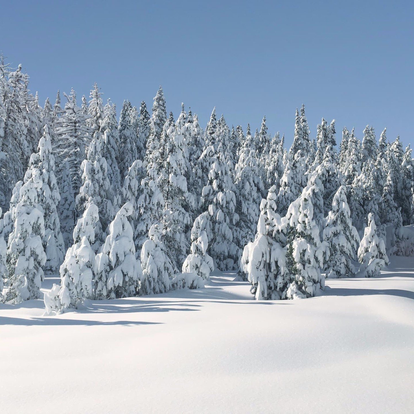 Wishing everyone Happy Holidays!
-
-
-
-
-
#nycarchitecture #serenedesign #nycinteriorsdesigners #timelessdesign #inspirationdesign #snowymountains #slowtravel #tahoelife #winterwonder