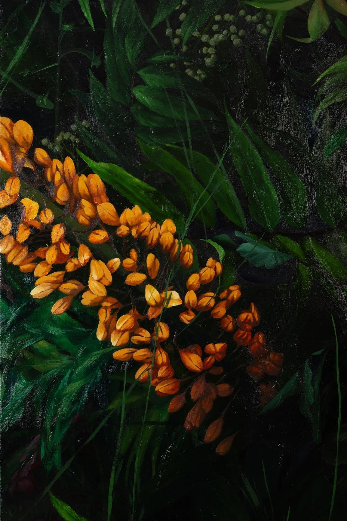 Mason Pott-web-4839.jpg