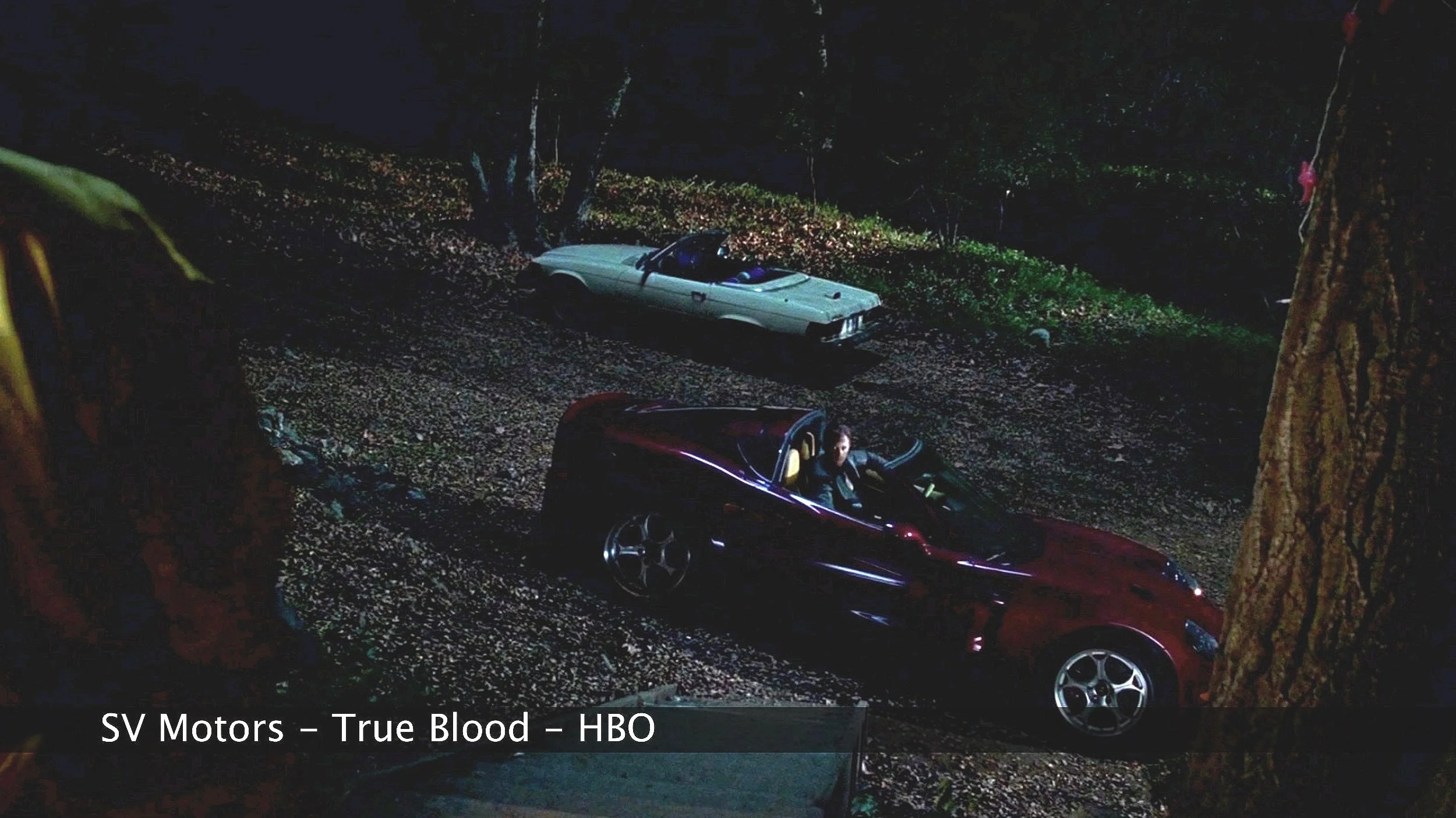 SV+Motors+-+True+Blood+-+Hurts6101.jpg