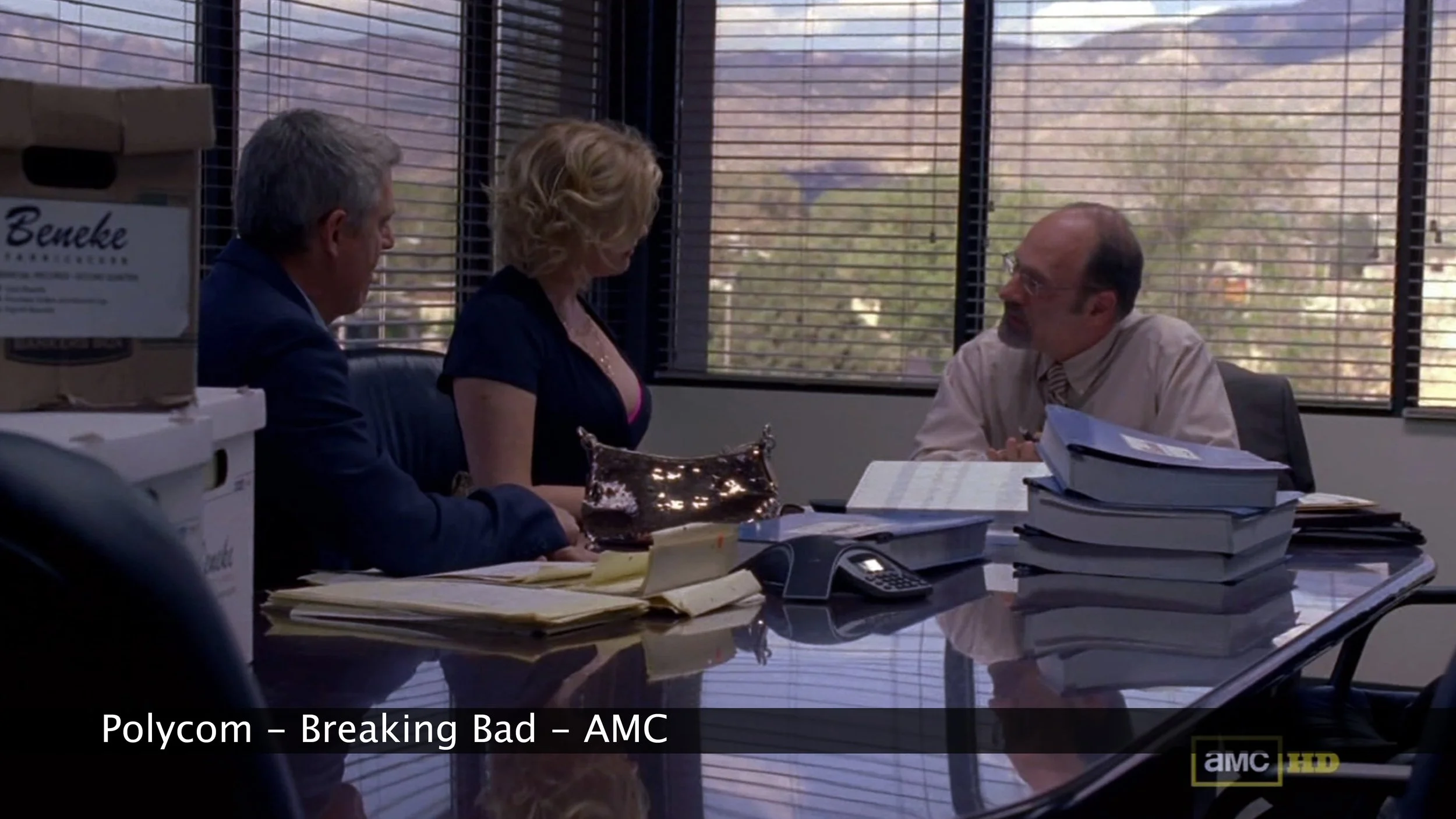 Polycom - Breaking Bad - Bug3121.jpg
