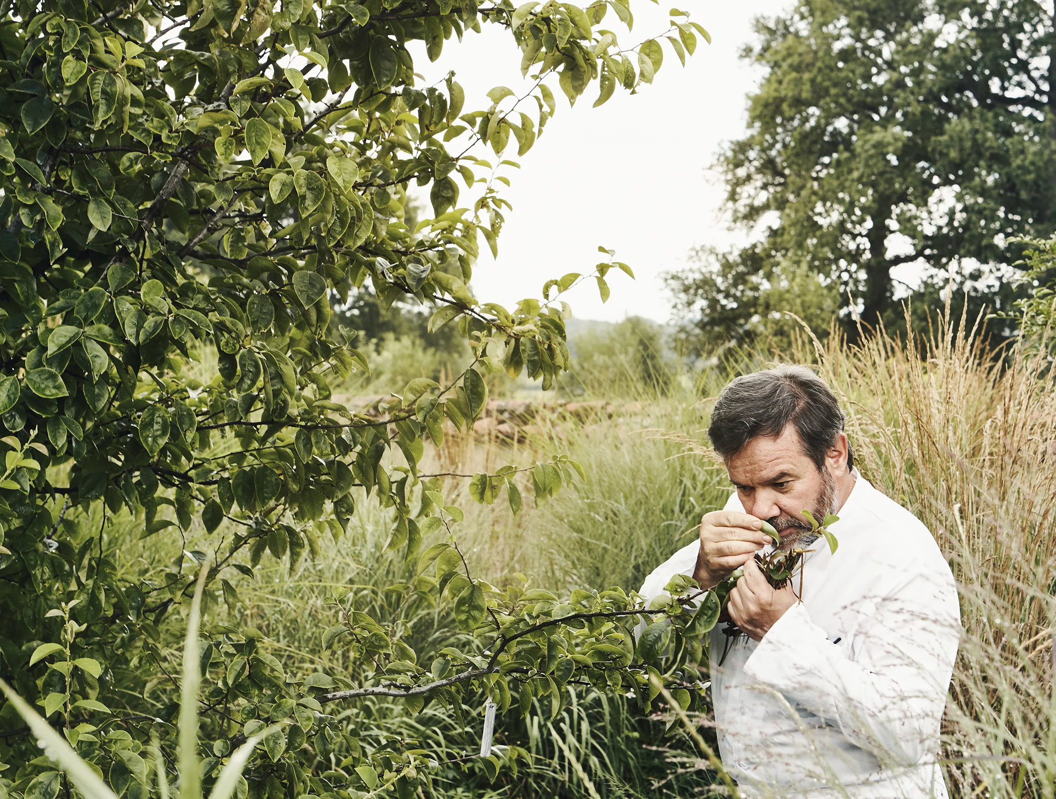 Troisgros - A lesson on the wonders of simplicity.