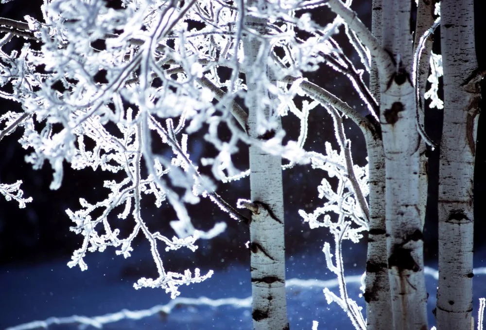 Wintermärchen Nacht