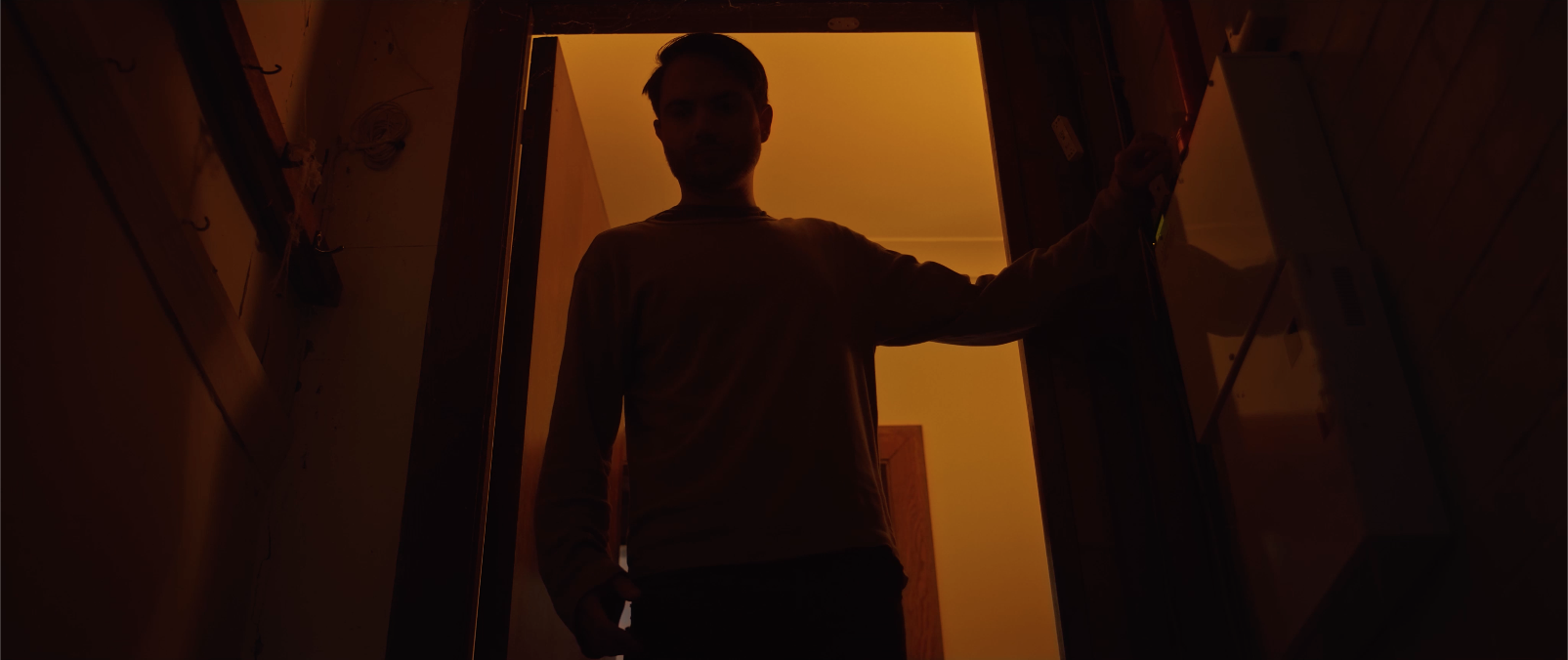 Viola Tim CellarDoor.png