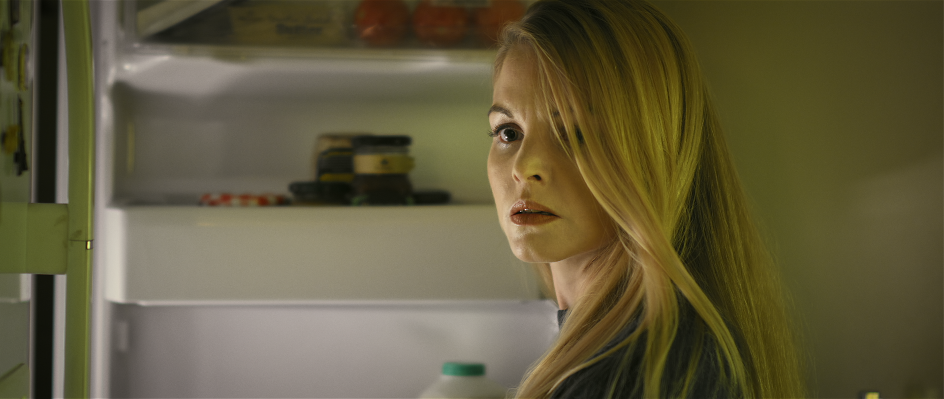 Viola Still Fridge.png