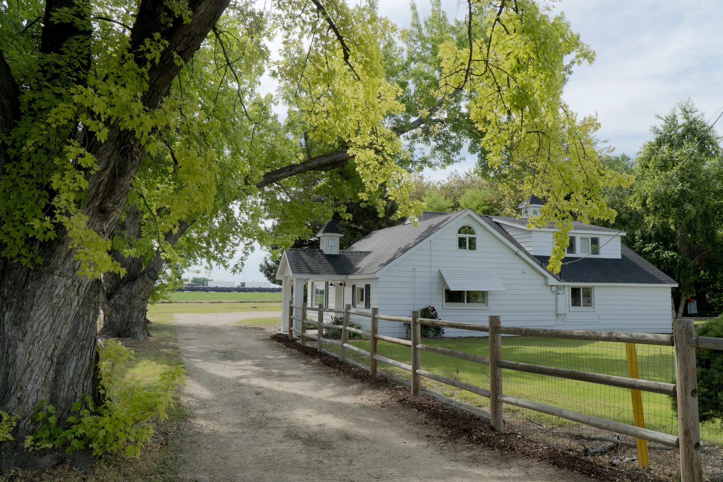 Driveway.jpg