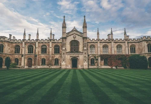 Would the World Be Better Off Without College for Everyone?