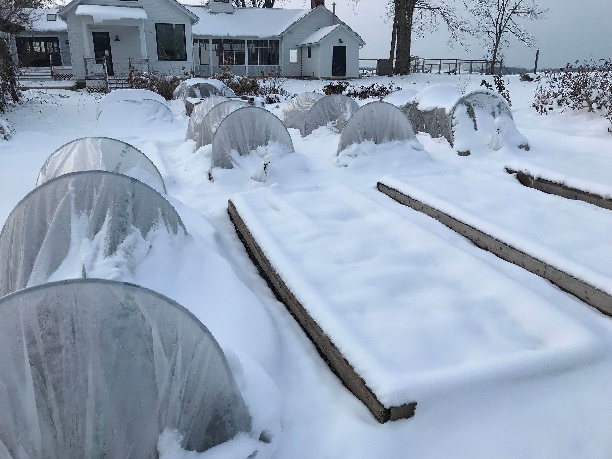  December beds with blankets of snow 