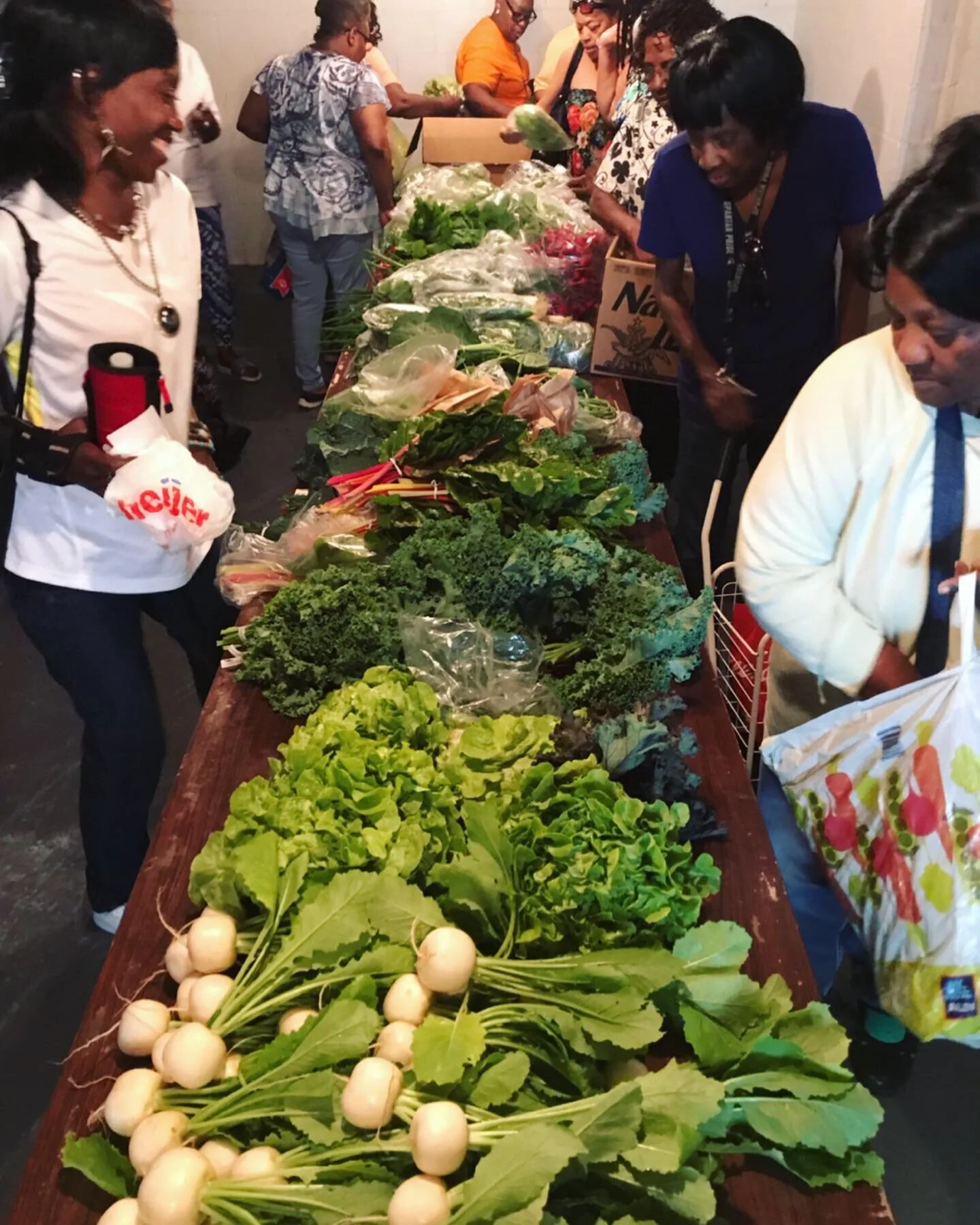 AIM Spring donation.JPG