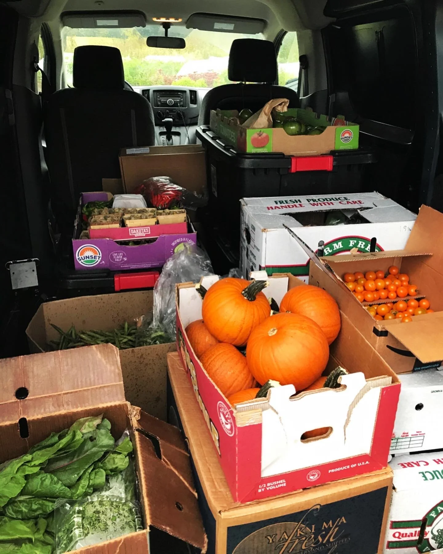  Filling Huckleberry Vann up with an early Fall donation!   