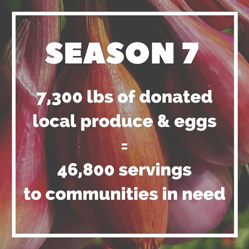 CORRECTION (1/9/24): Turns out we undercounted! Donation total was actually over 7,600 lbs, representing over 48,400 servings of healthy produce &amp; eggs. Woohoo! 

Ciao, &lsquo;23! Our 7th year of growing &amp; giving has another big first for us 