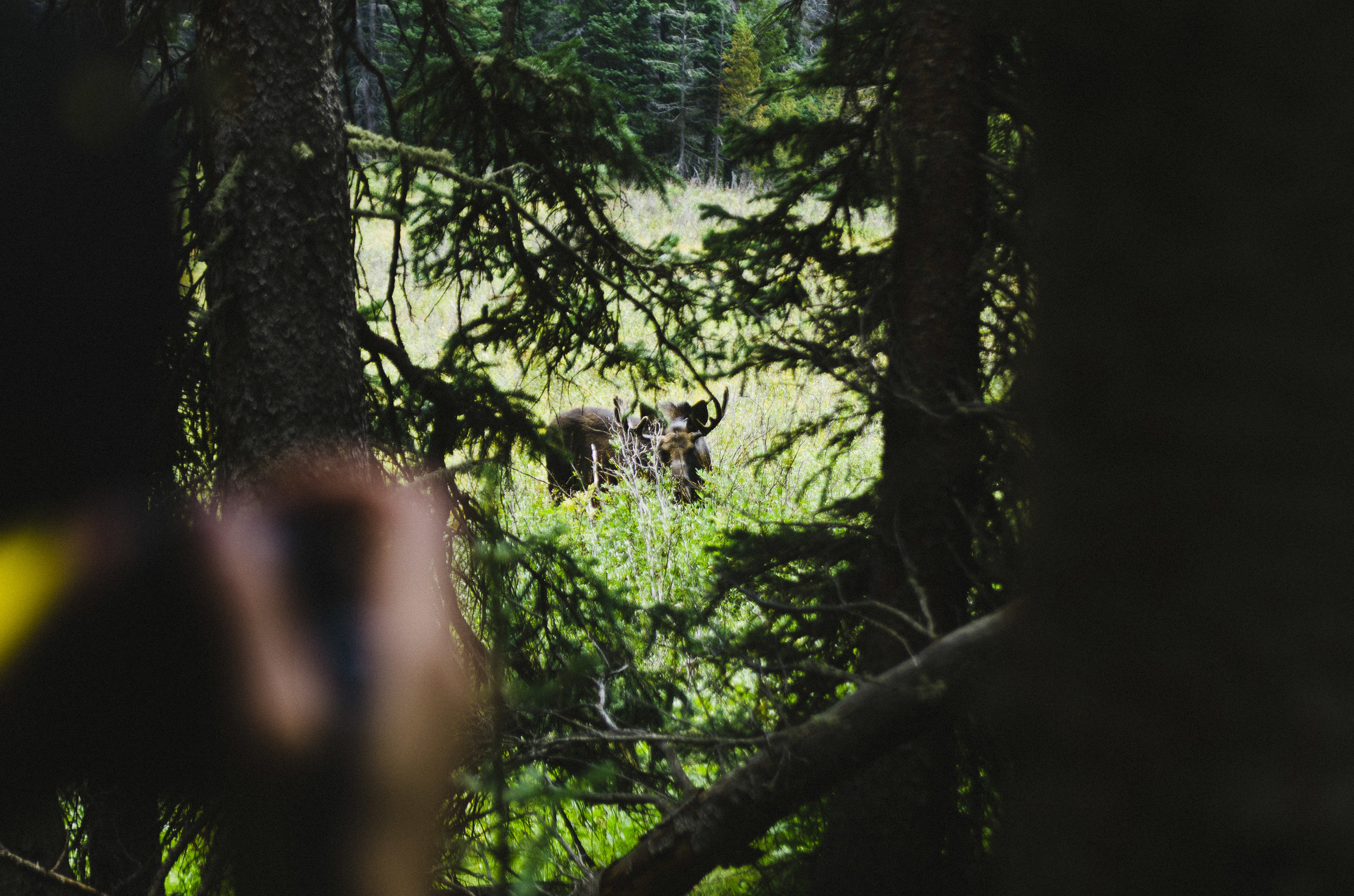 Coleman_x_AdamVicarel_story_boulderLake_218.jpg