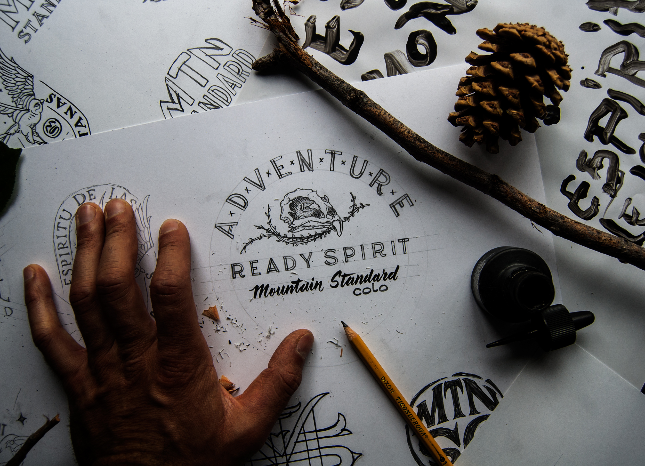 VS.Website.MountainStandard.BirdSkullSketch.01a.jpg
