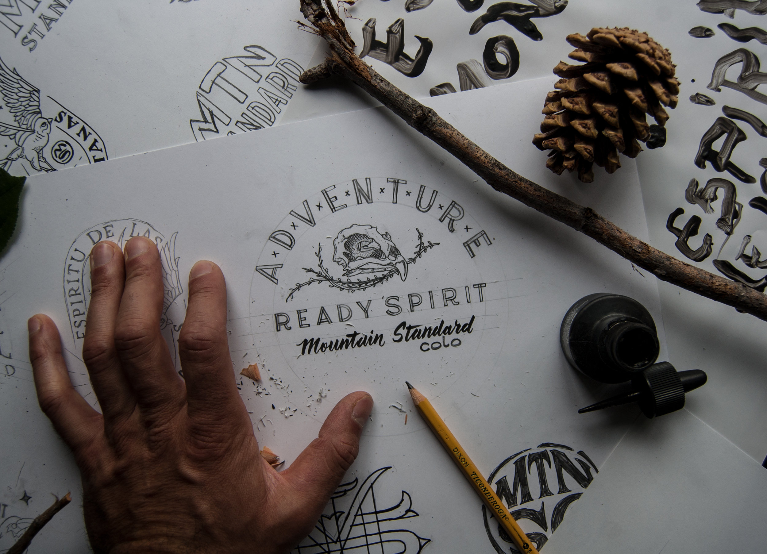 VS.IG.MountainStandard.BirdSkullSketch.01a.jpg