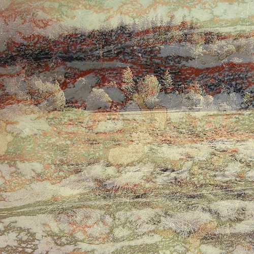 farm in sno.jpg