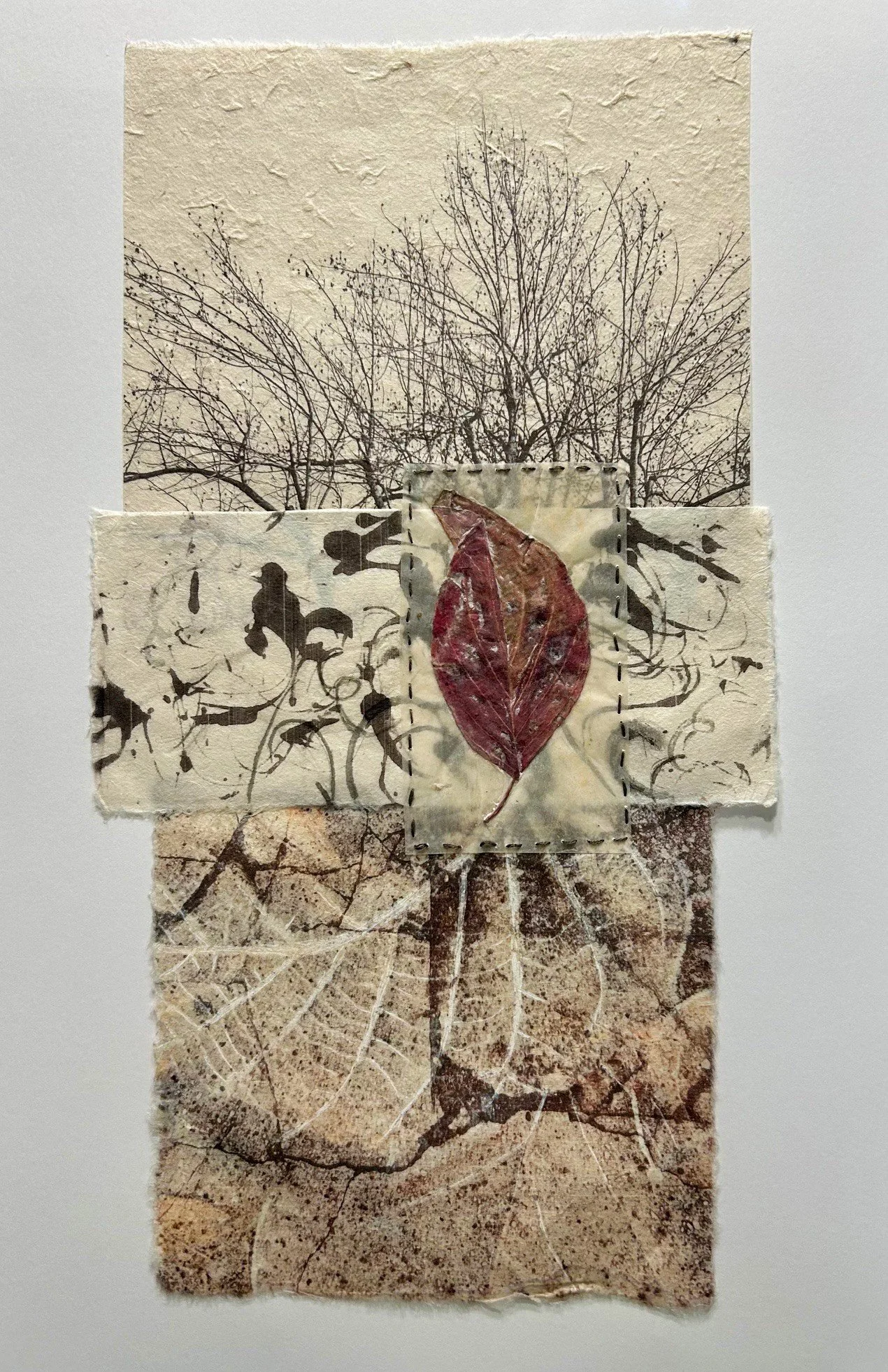 Roots 3 10 x 15