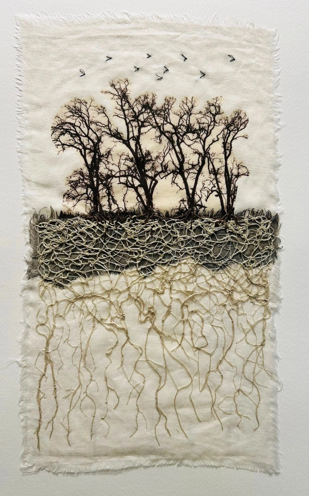 Roots 10 x 15