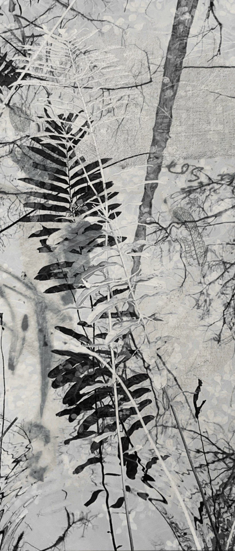 Water with Fern