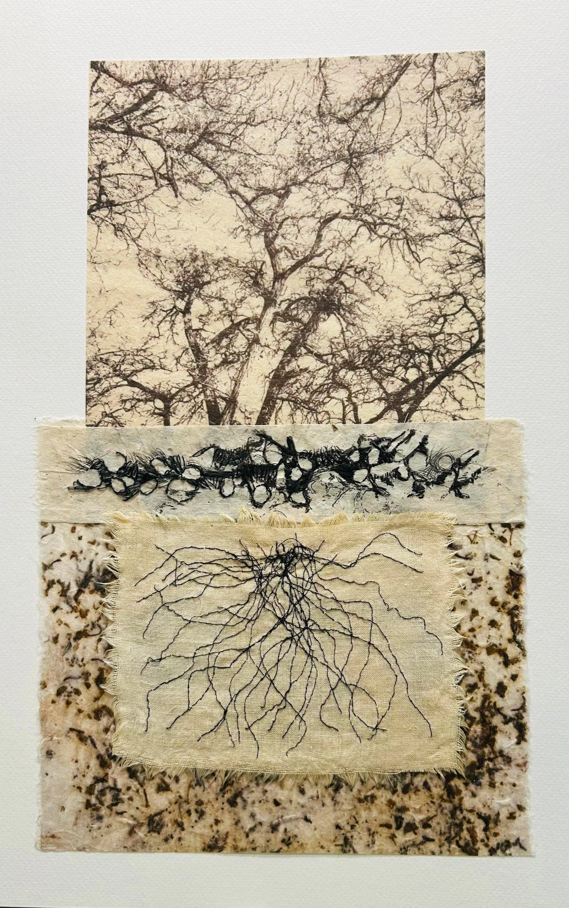 Roots 2 10 x 15