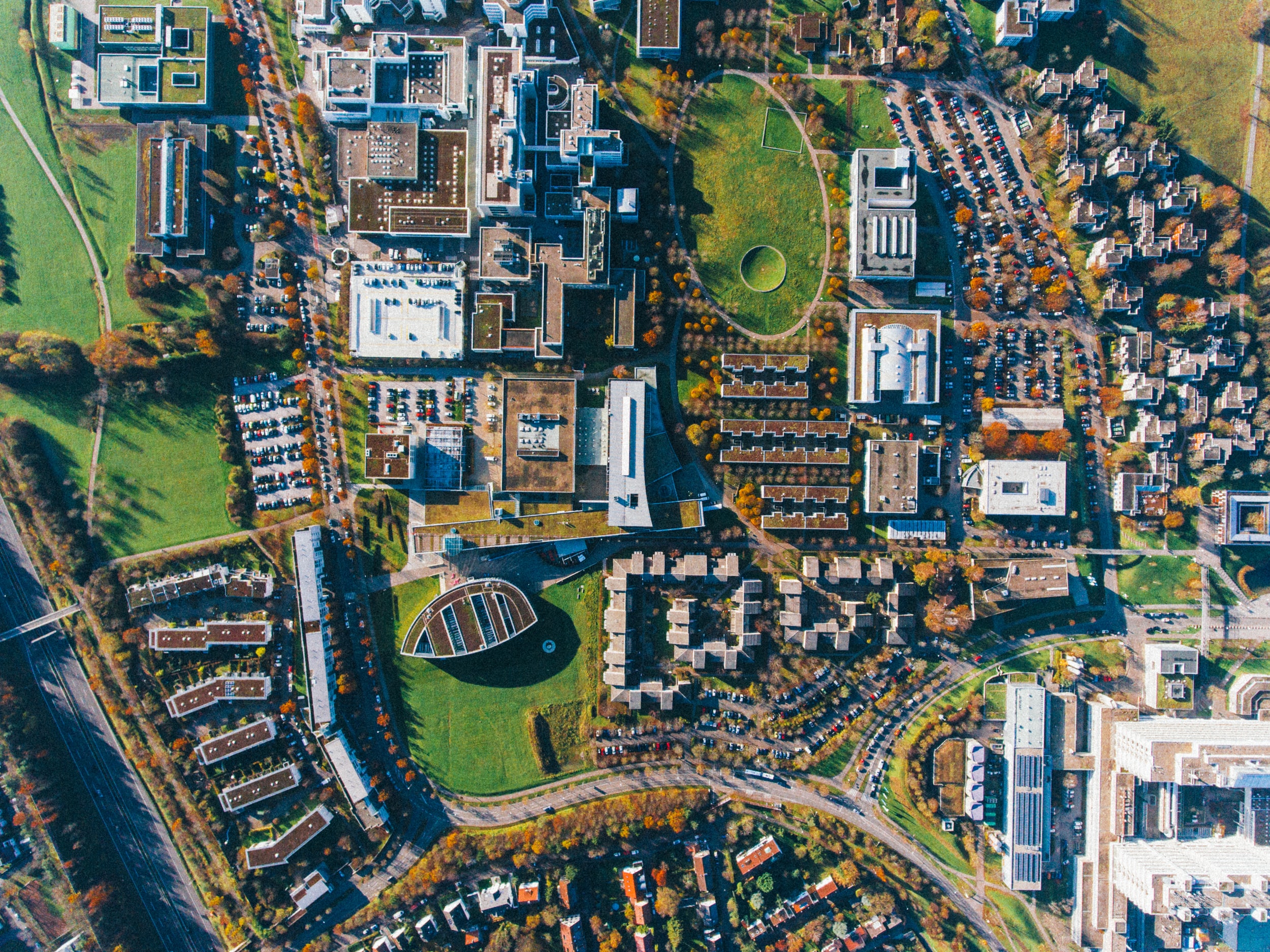 1st Place Essay Winner Of The 2020 Helping Hands Scholarship