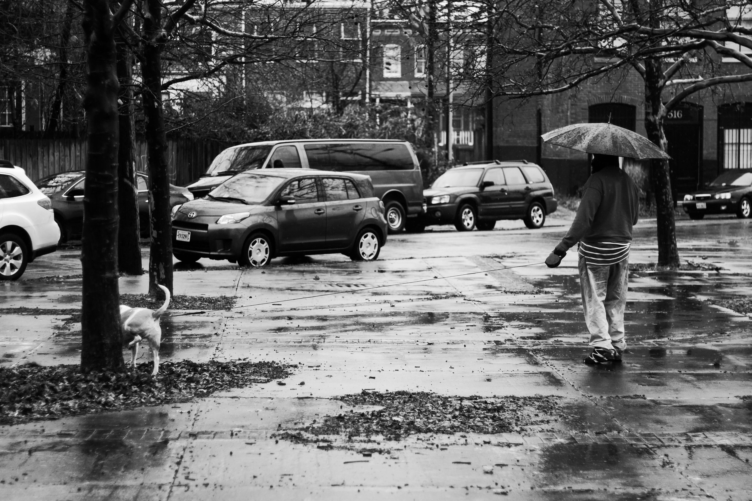 IMG_0735 B_W.jpg