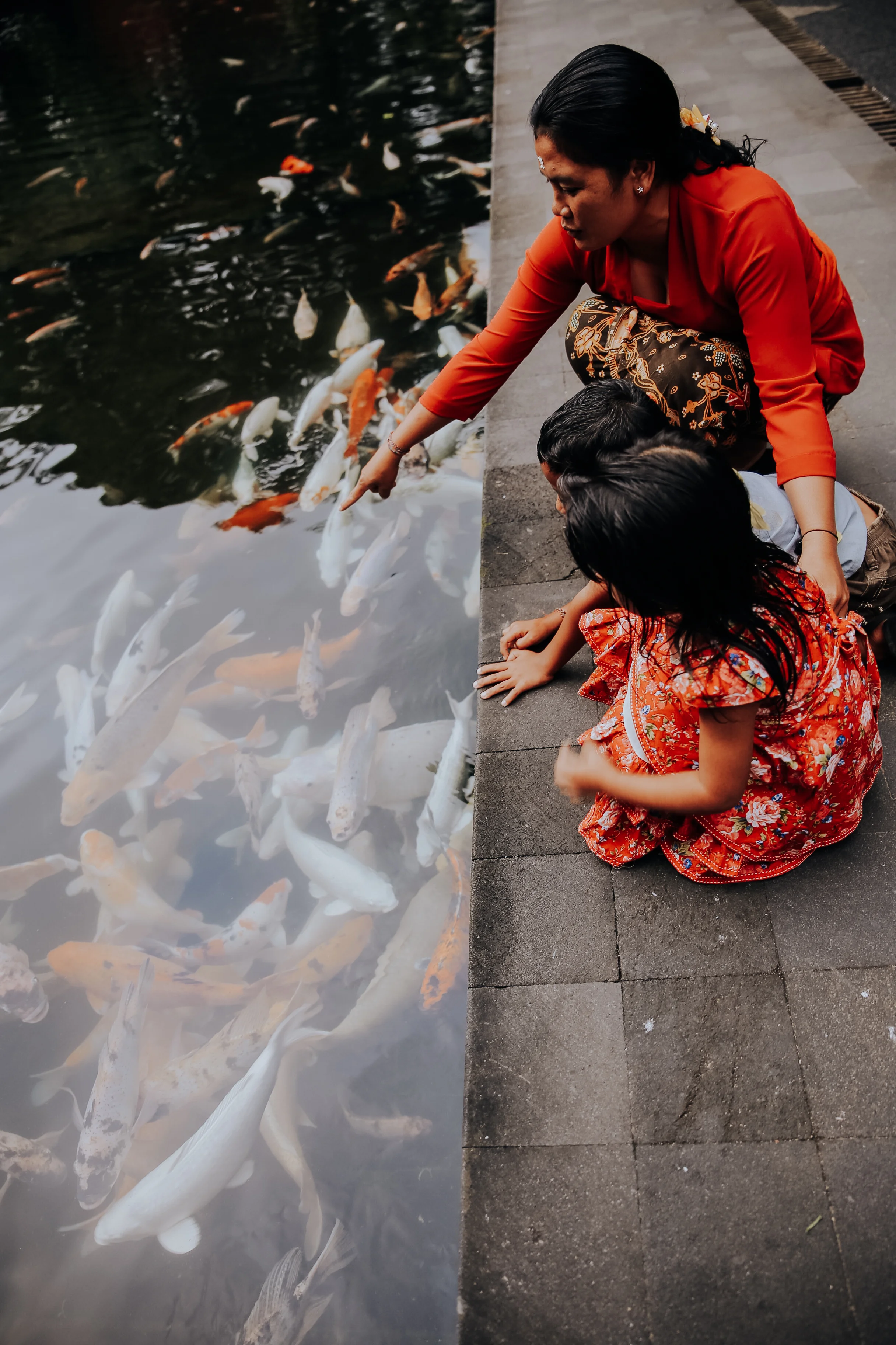 KOI-1.jpg