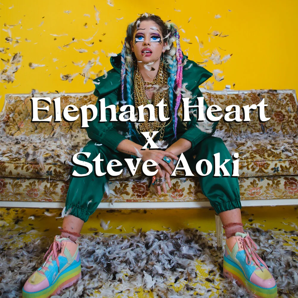 steve aoki cover.jpg
