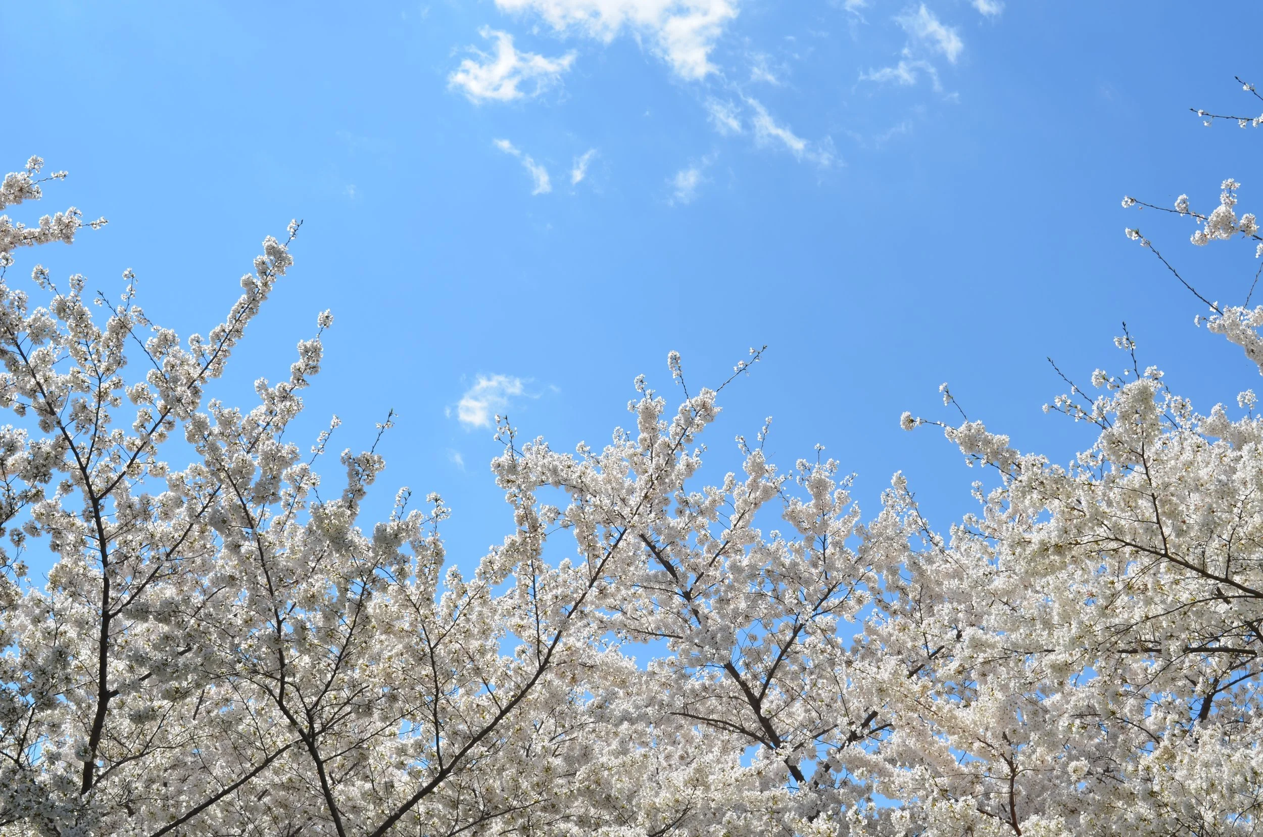 2.28_Spring.jpg