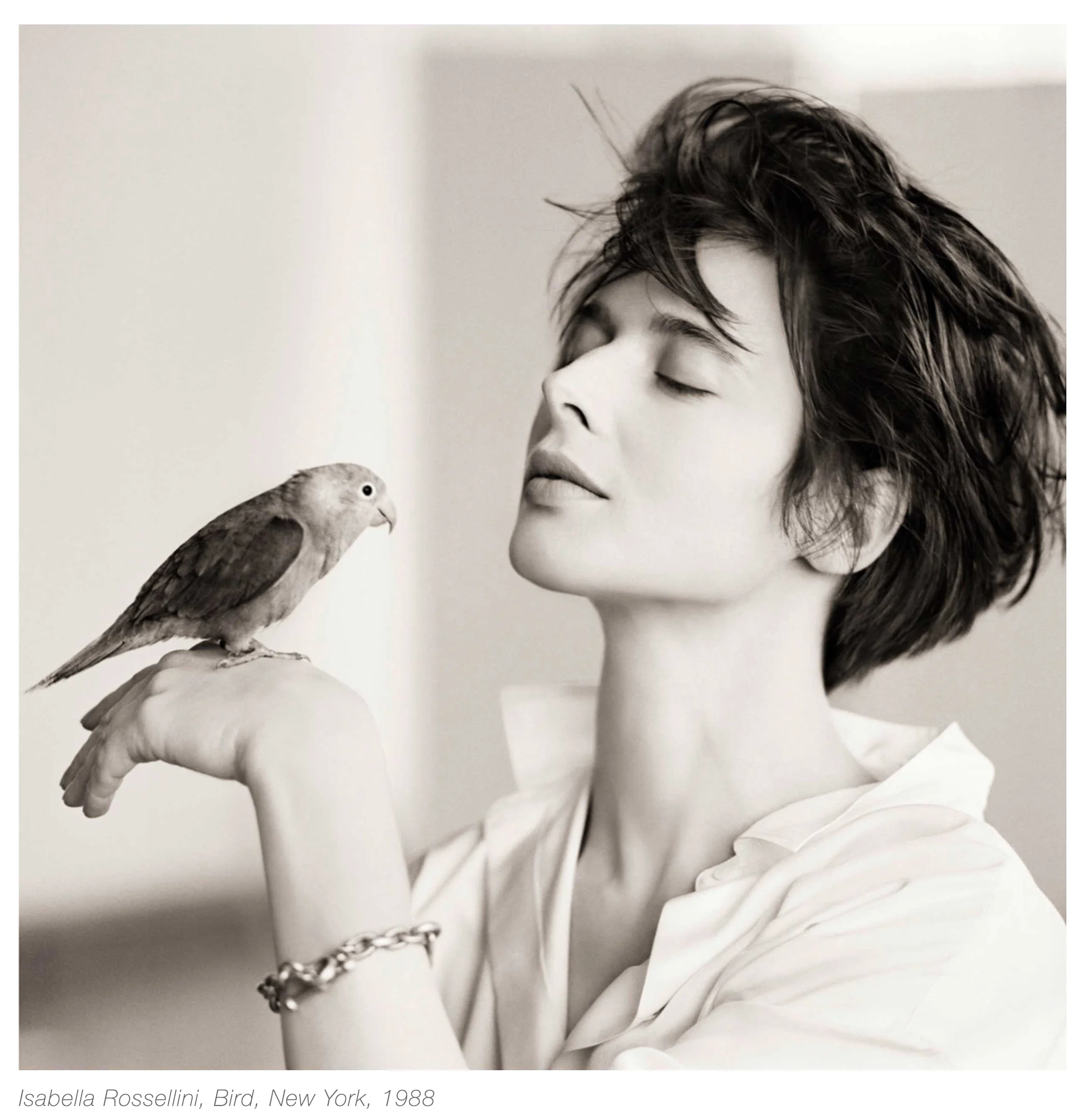 Isabella Rossellini