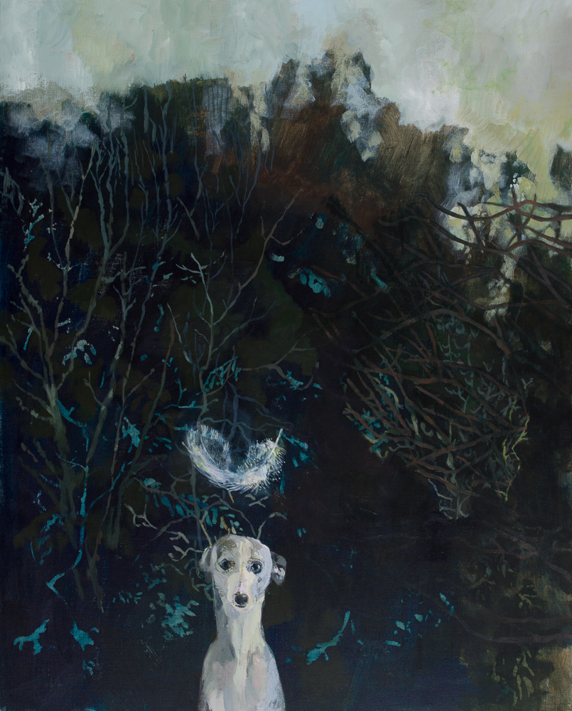 Whippet