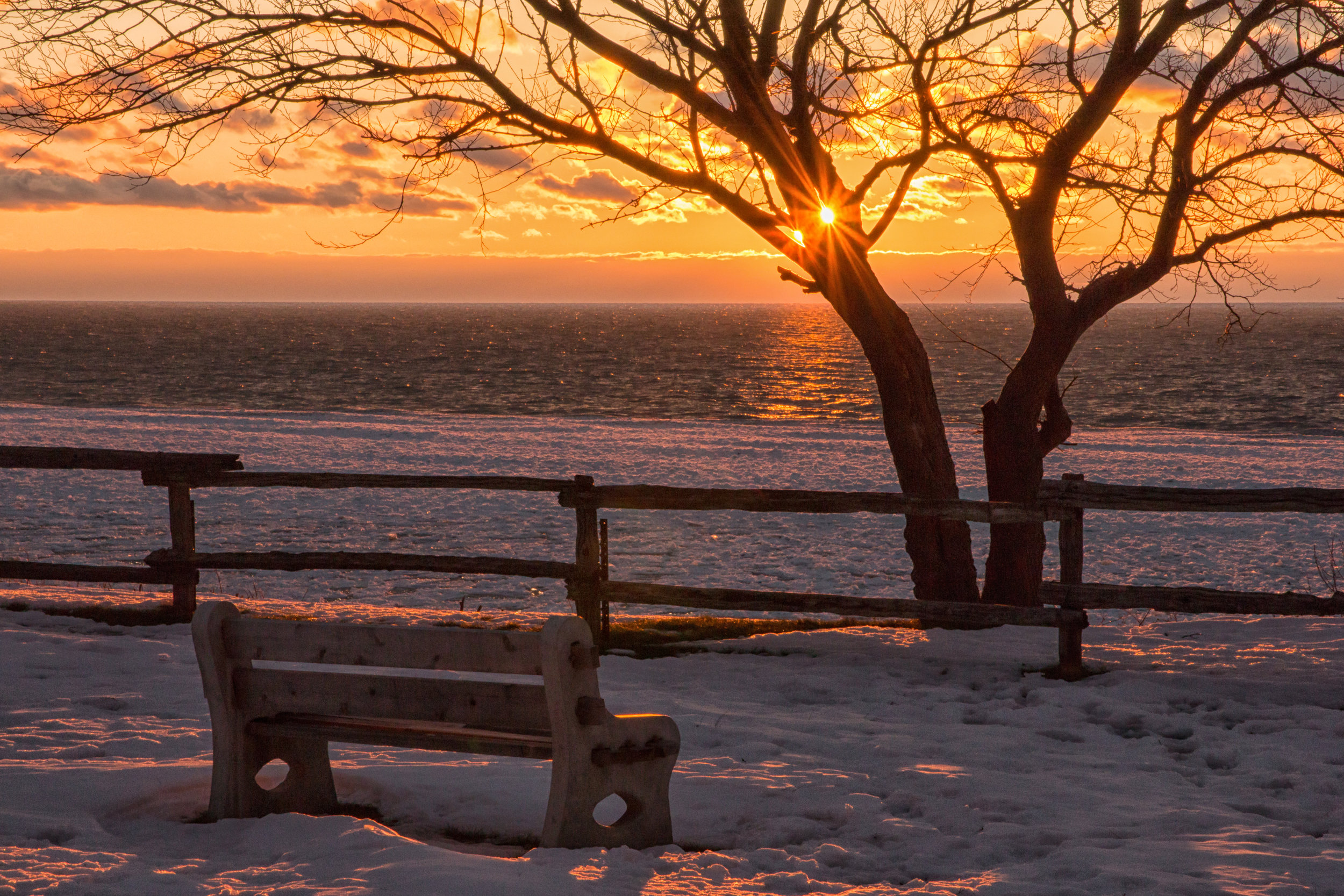 Winter Bench Pioneer Park