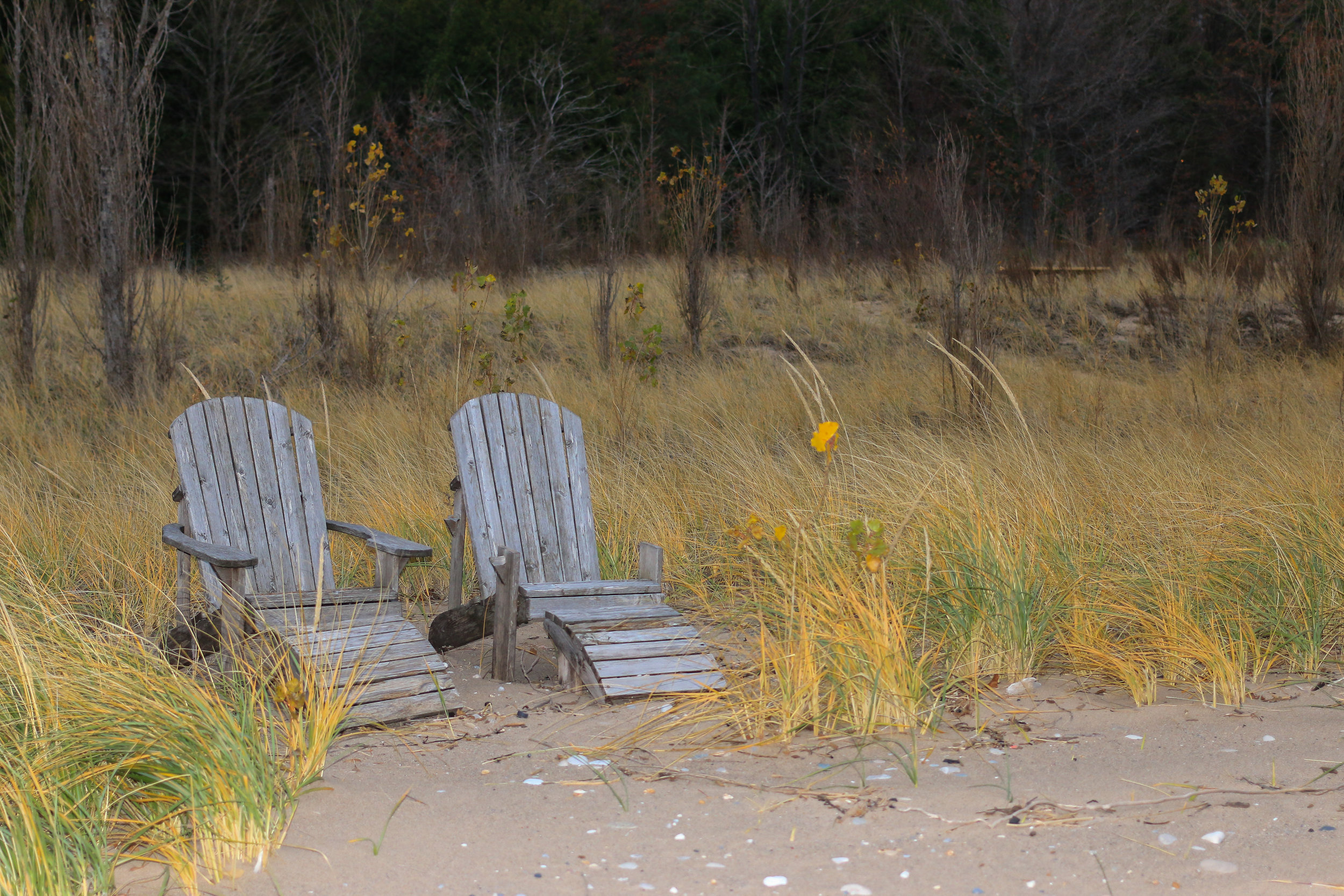 Beach Chairs