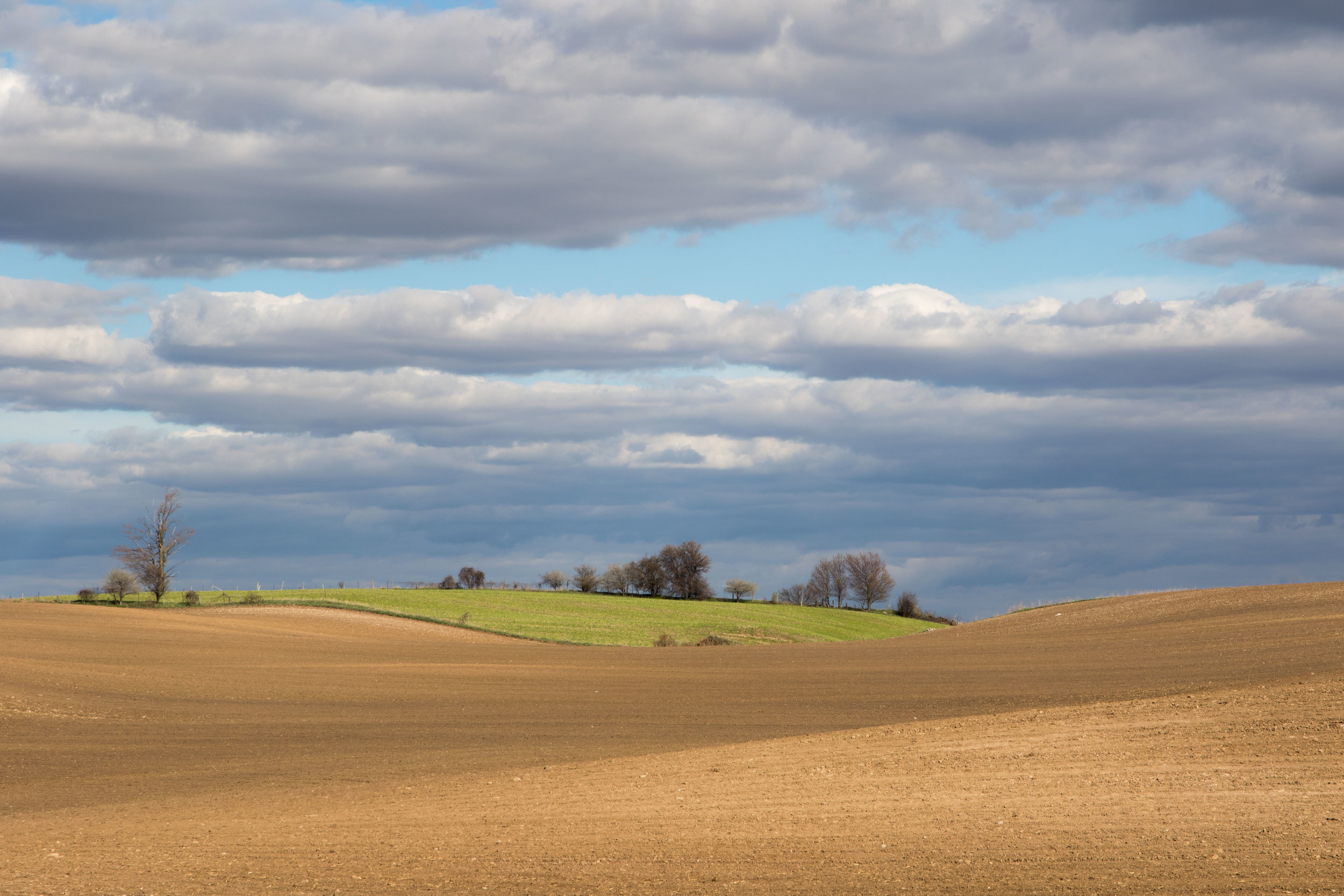 Rolling Field