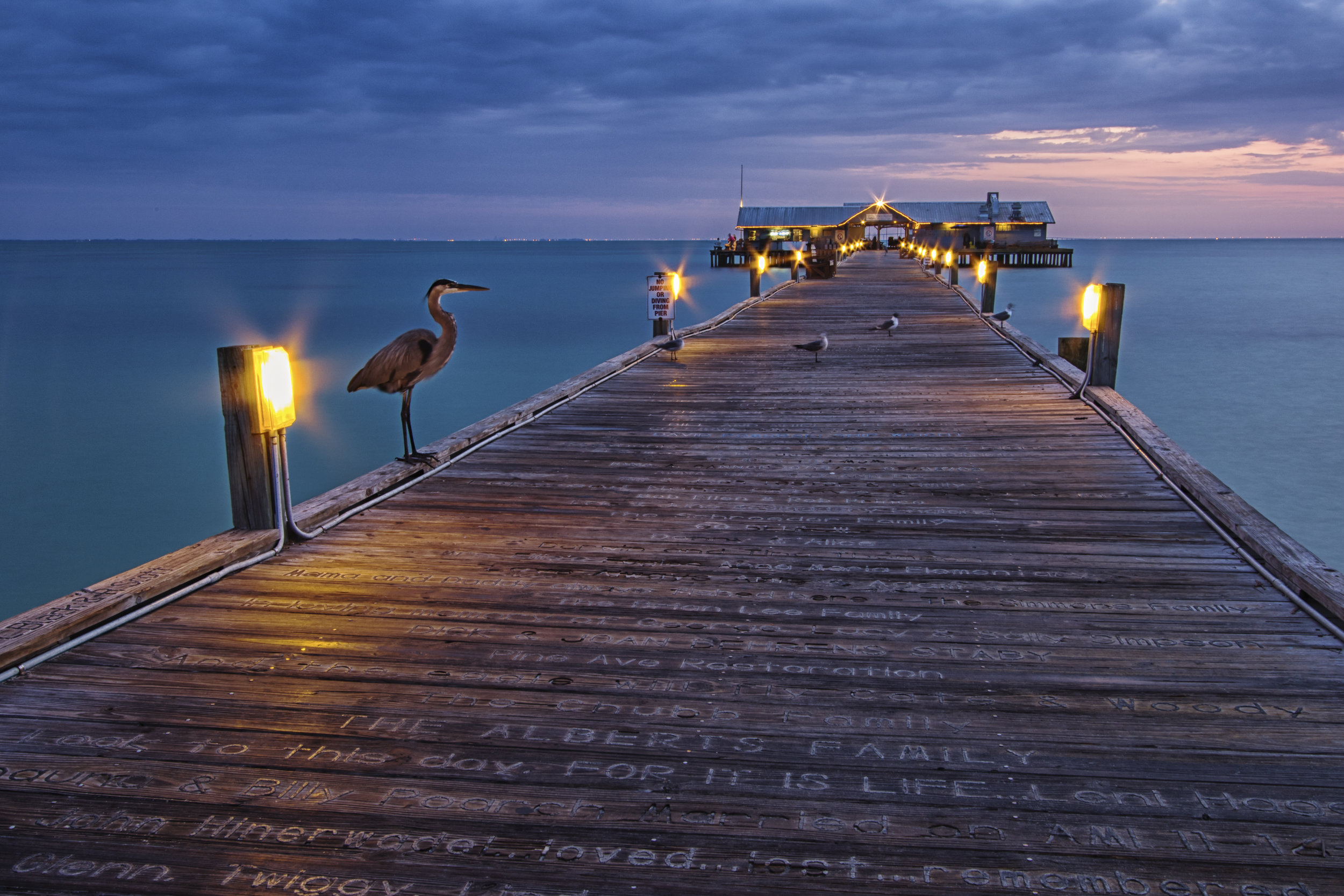 Blue Heron Pier.jpg