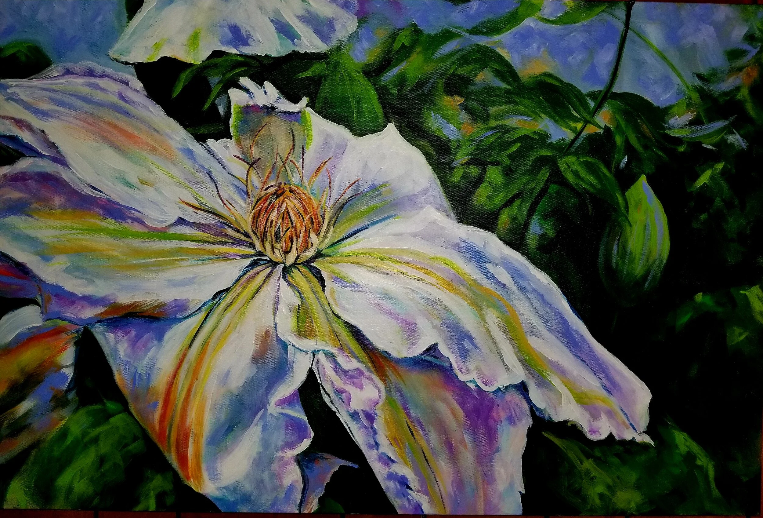 "Clematis Glory"