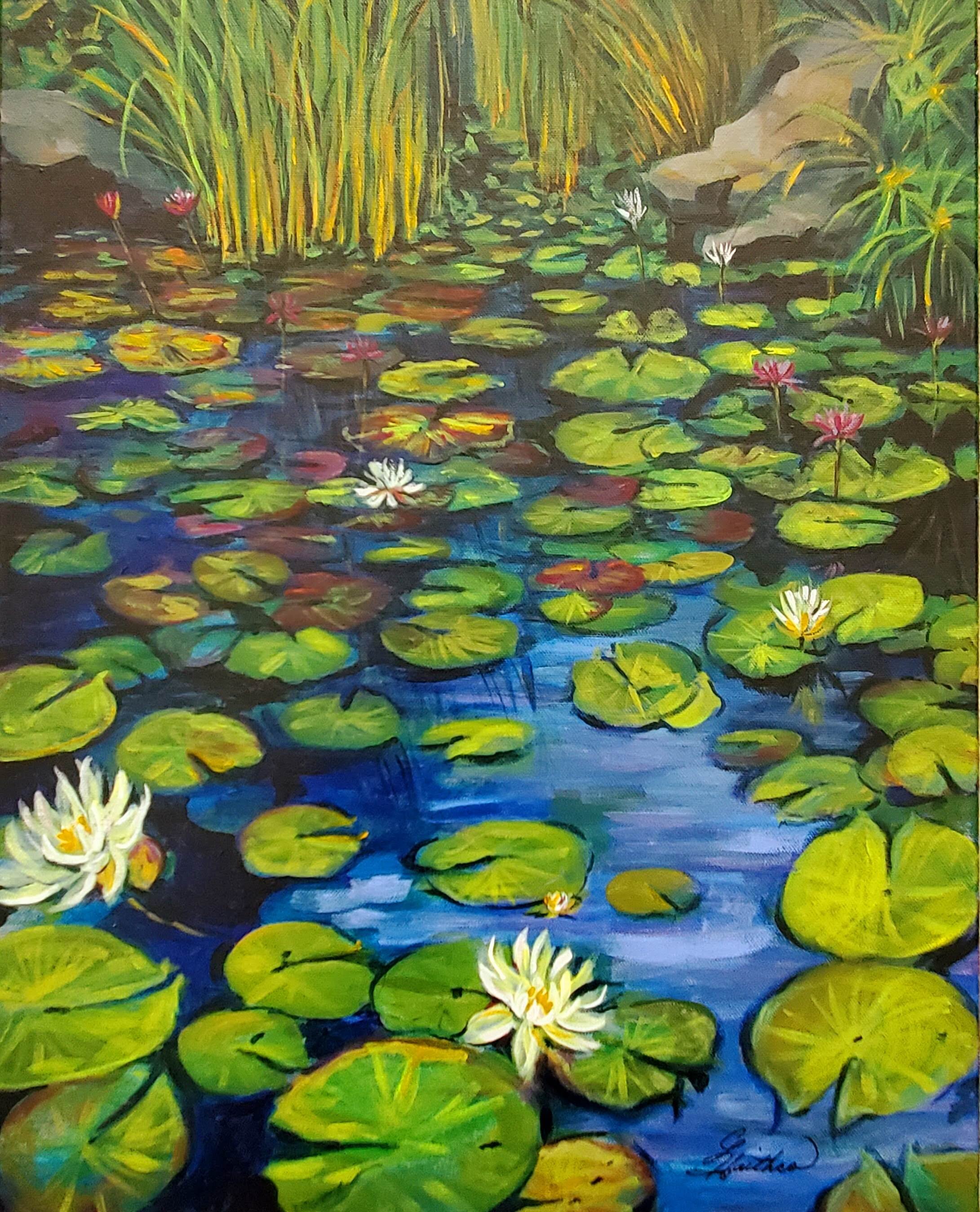 Magical Pond