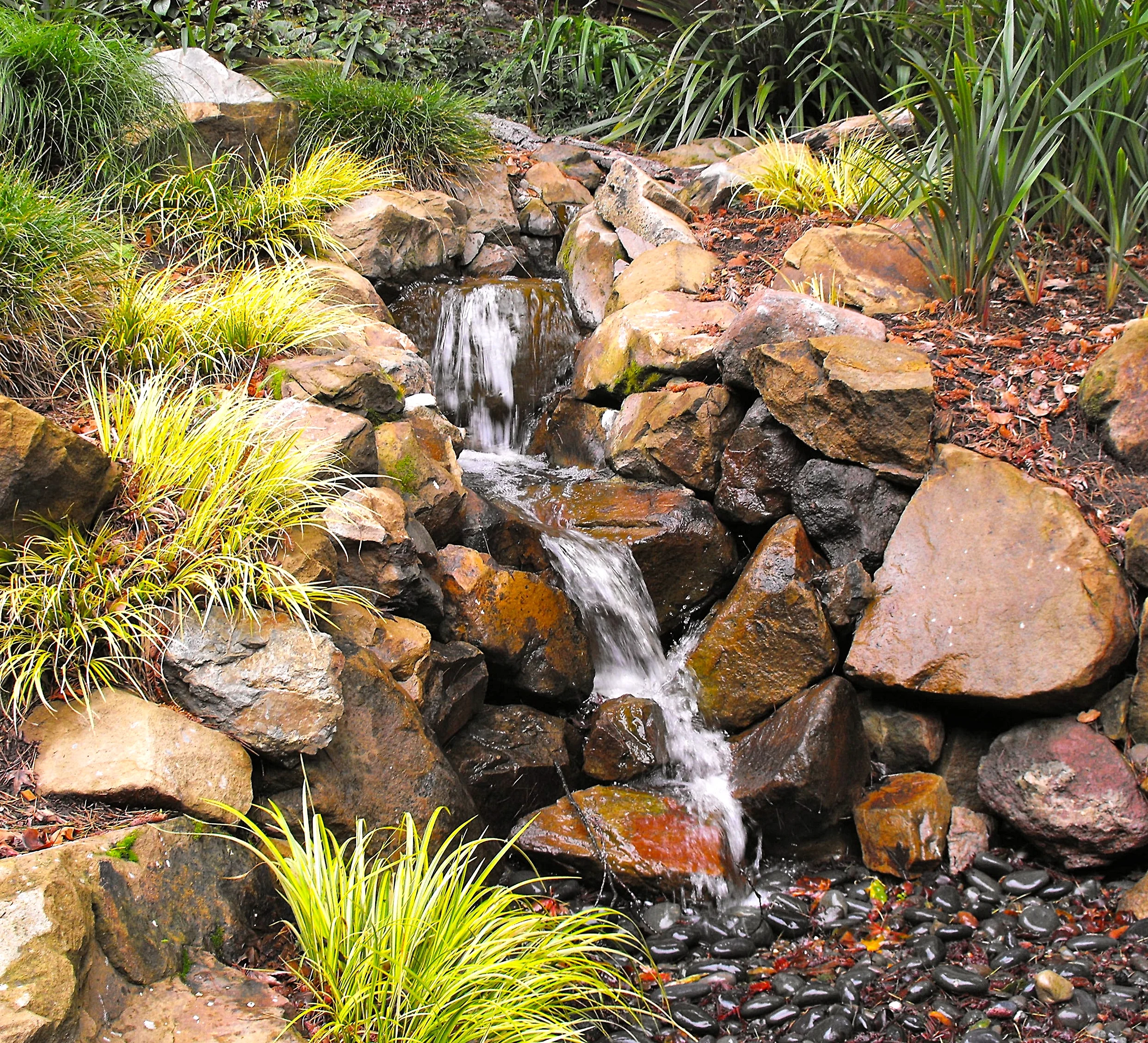 DSCF5008.JPG