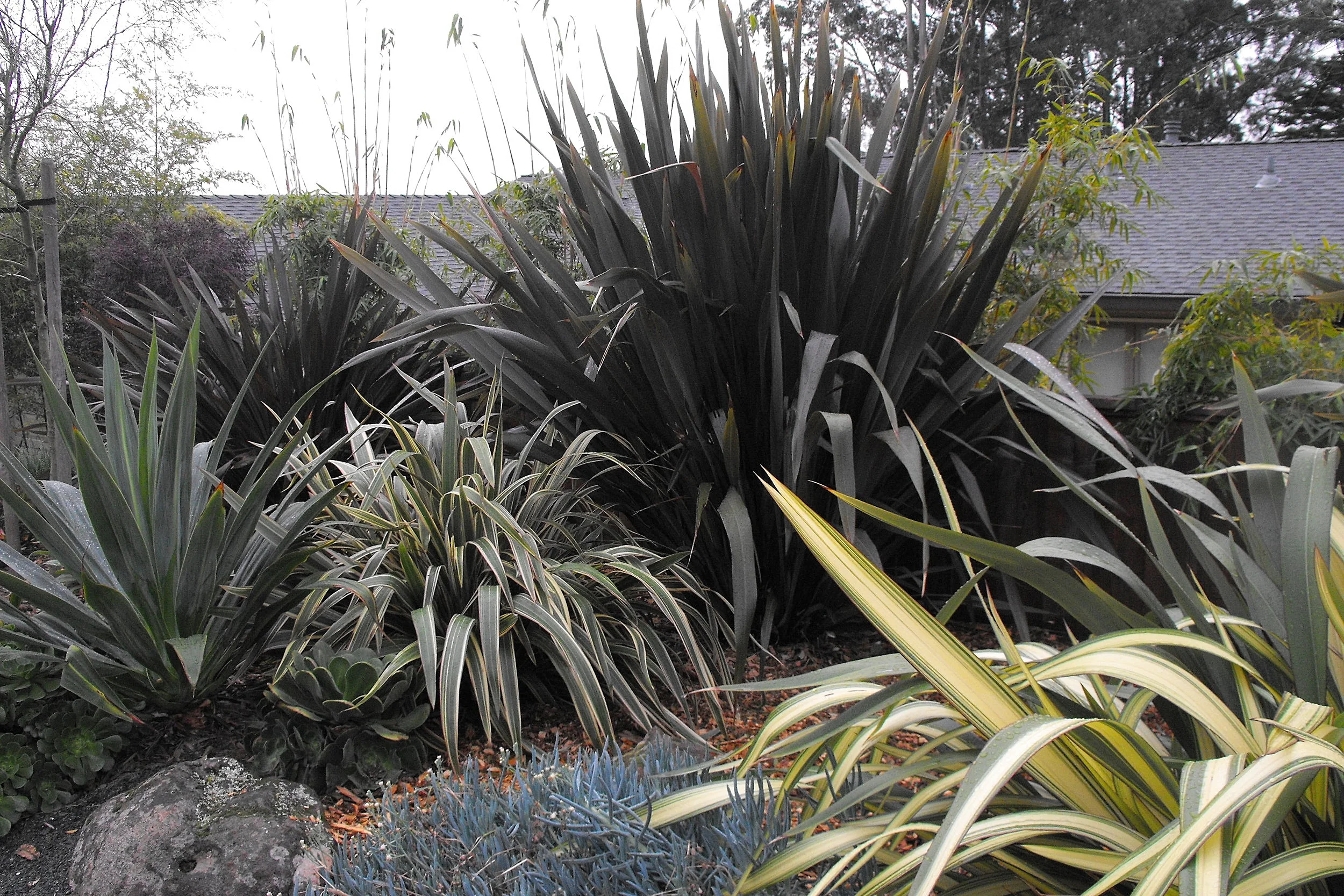 DSCF2344.jpg