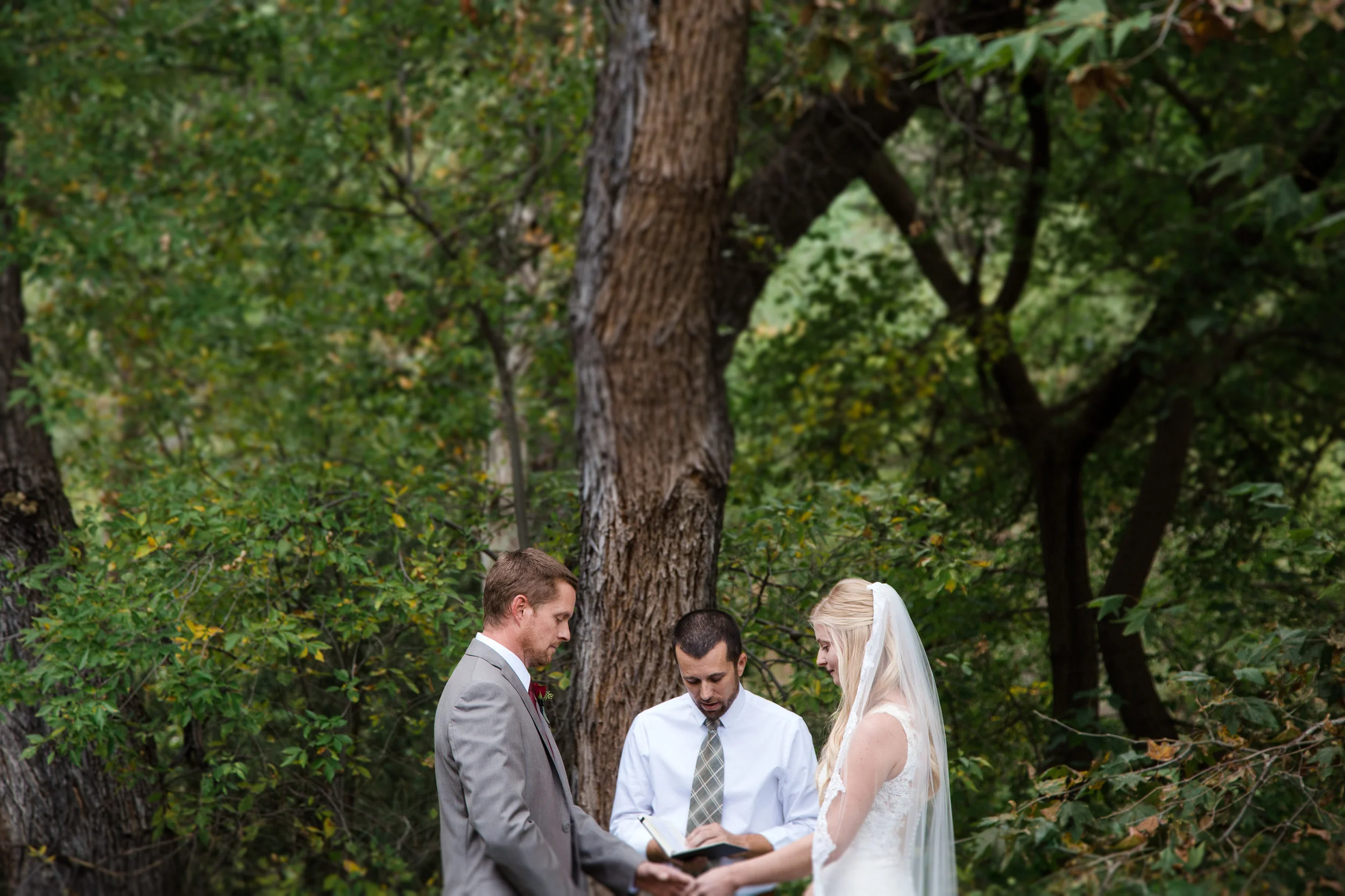 IMG_5627-Edit.jpg