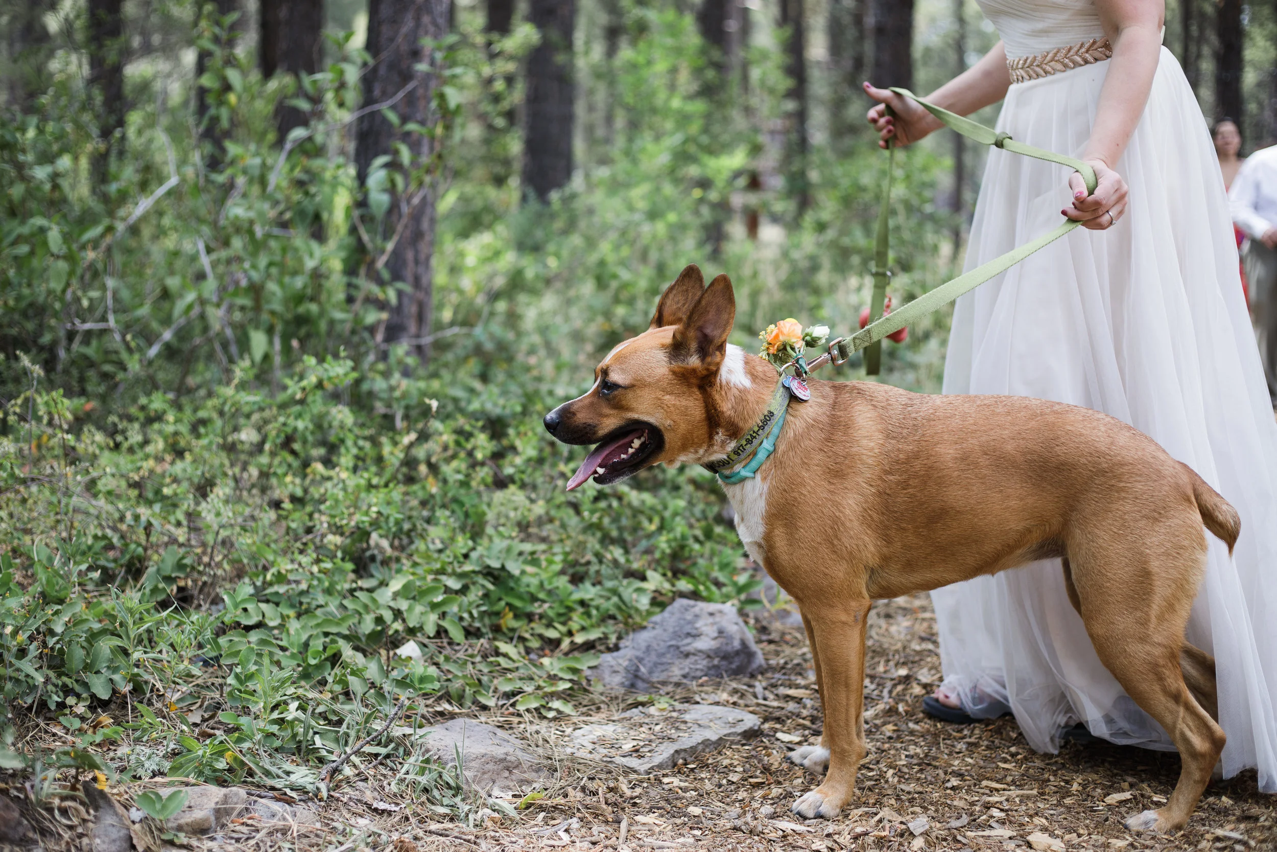 Megan and Mike-163.jpg