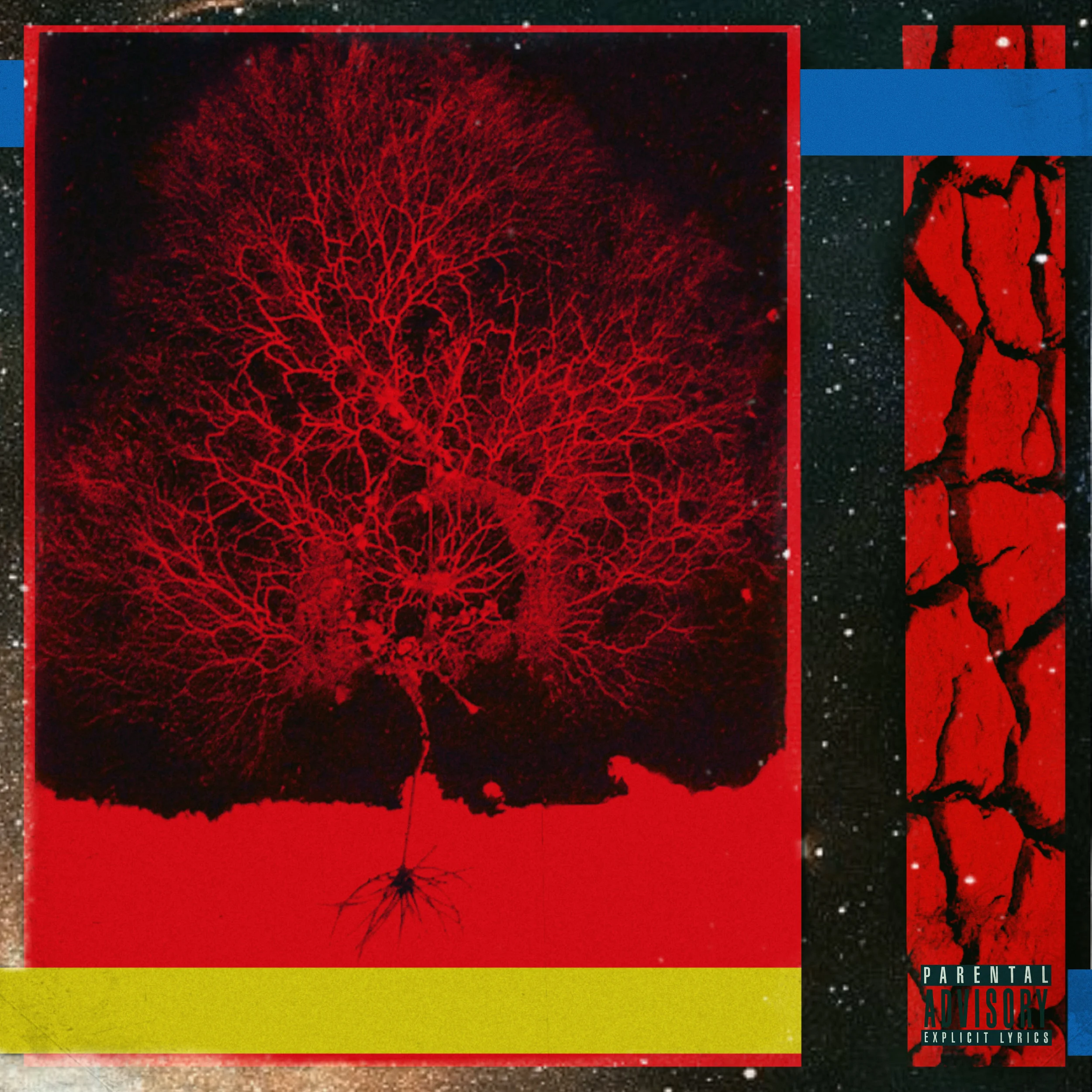 “Luminous” (SINGLE) - DeadstockV1