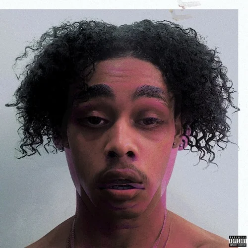 "APEX" (EP) - Hate Sonny 