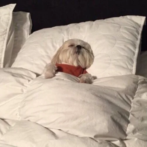 Tired(Single) - RayMundo