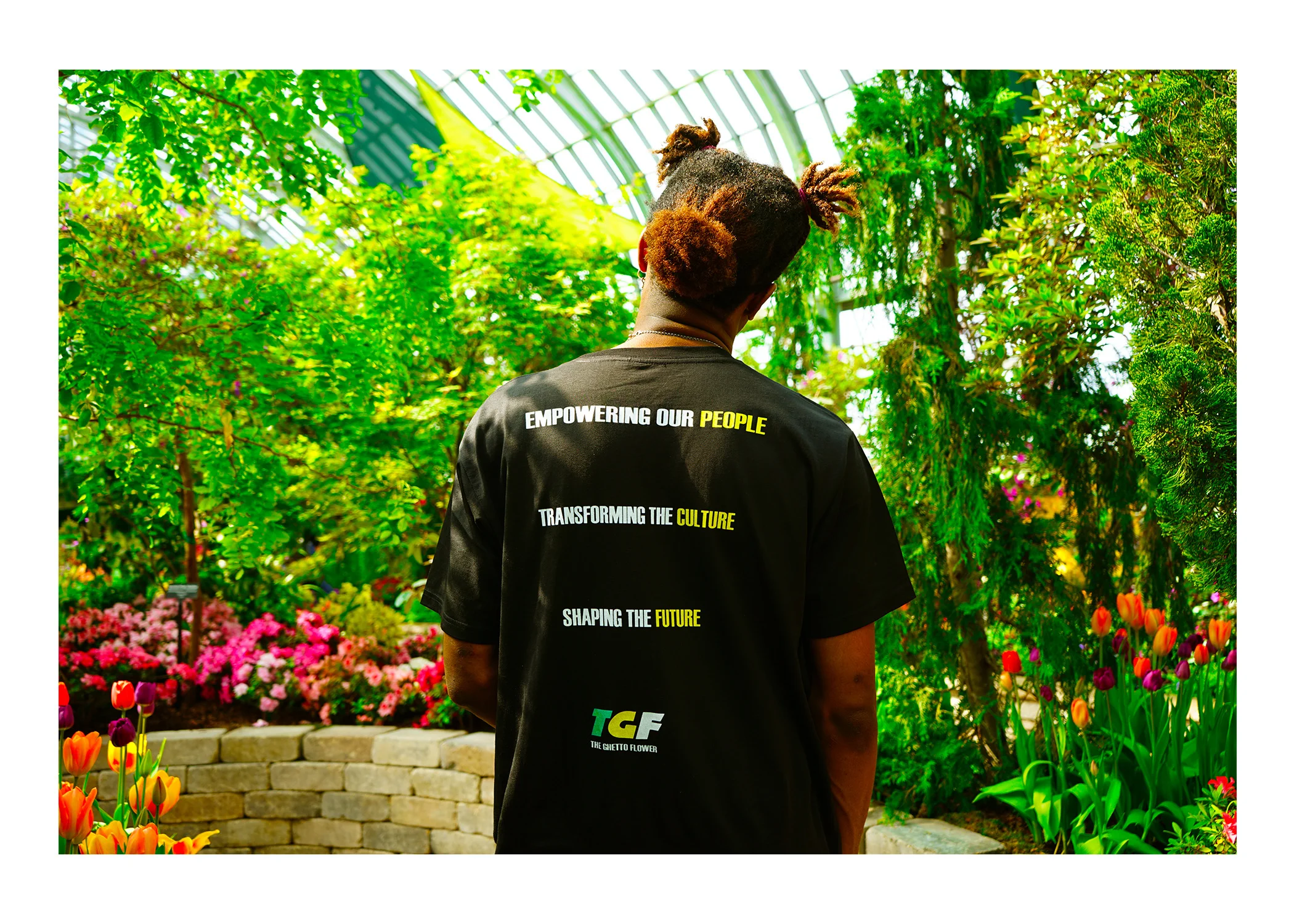popuptee2.jpg